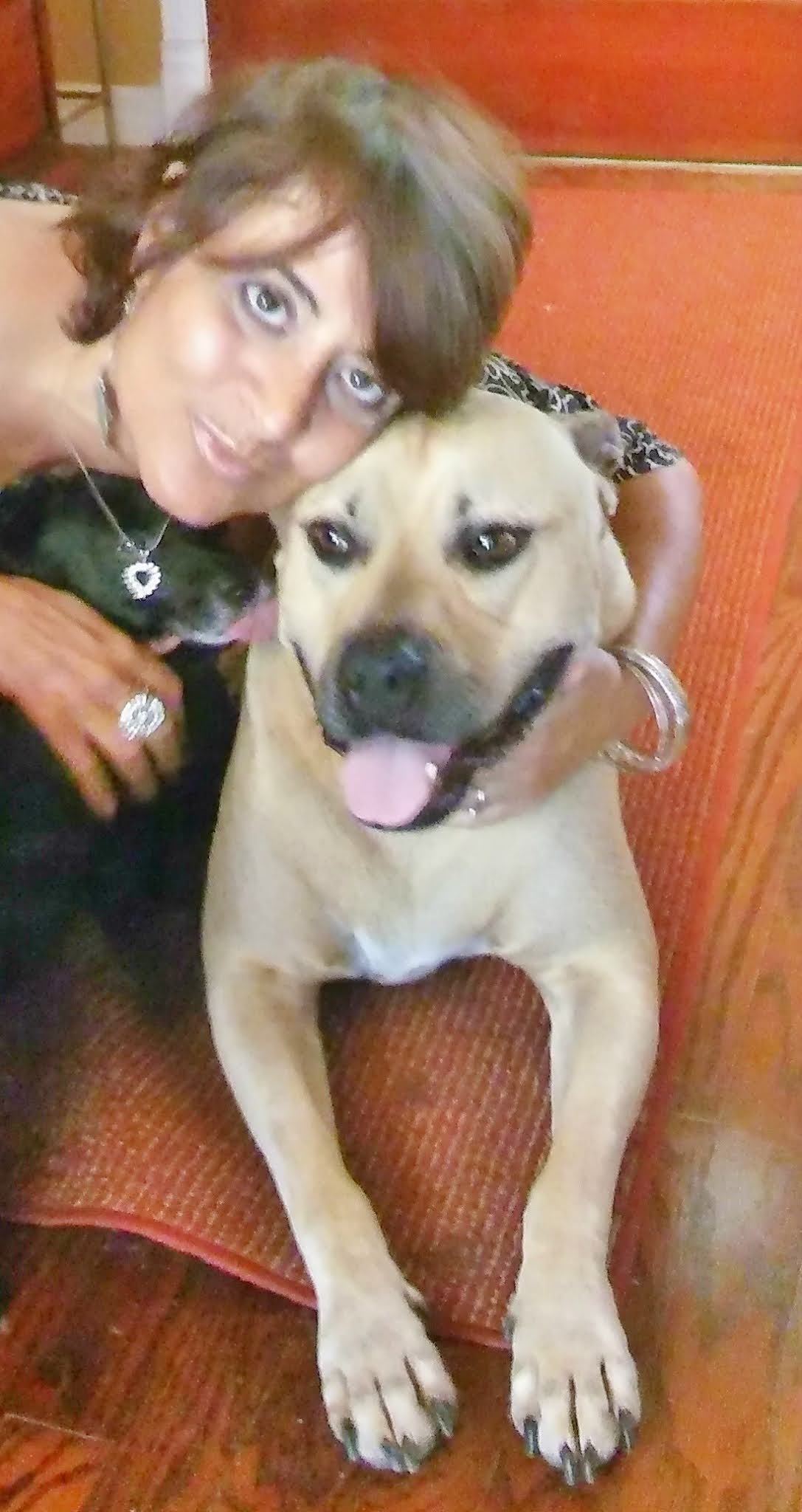 Cozy Up With Kathy Paws for Concern An Interview Review and